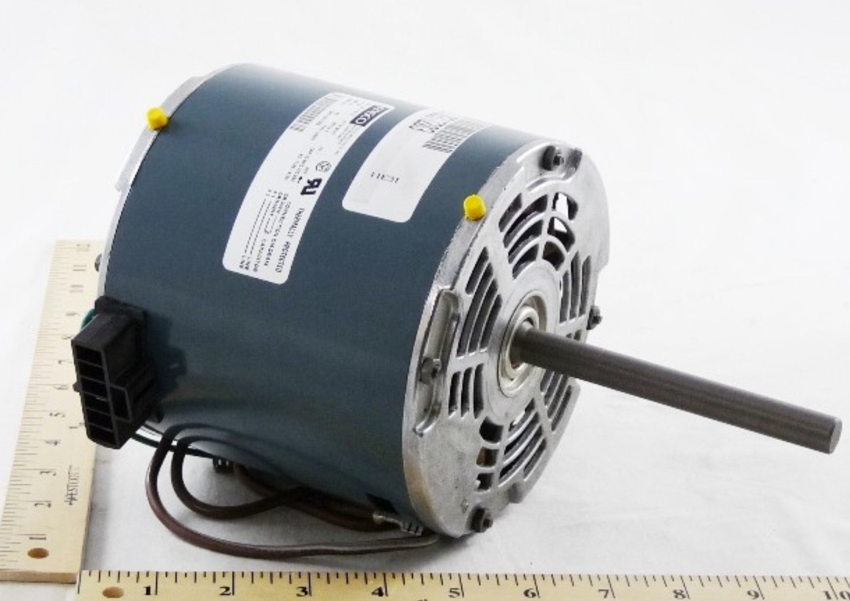 Titus HVAC | 10317203 | 3/4HP 277V Single Phase AC Motor