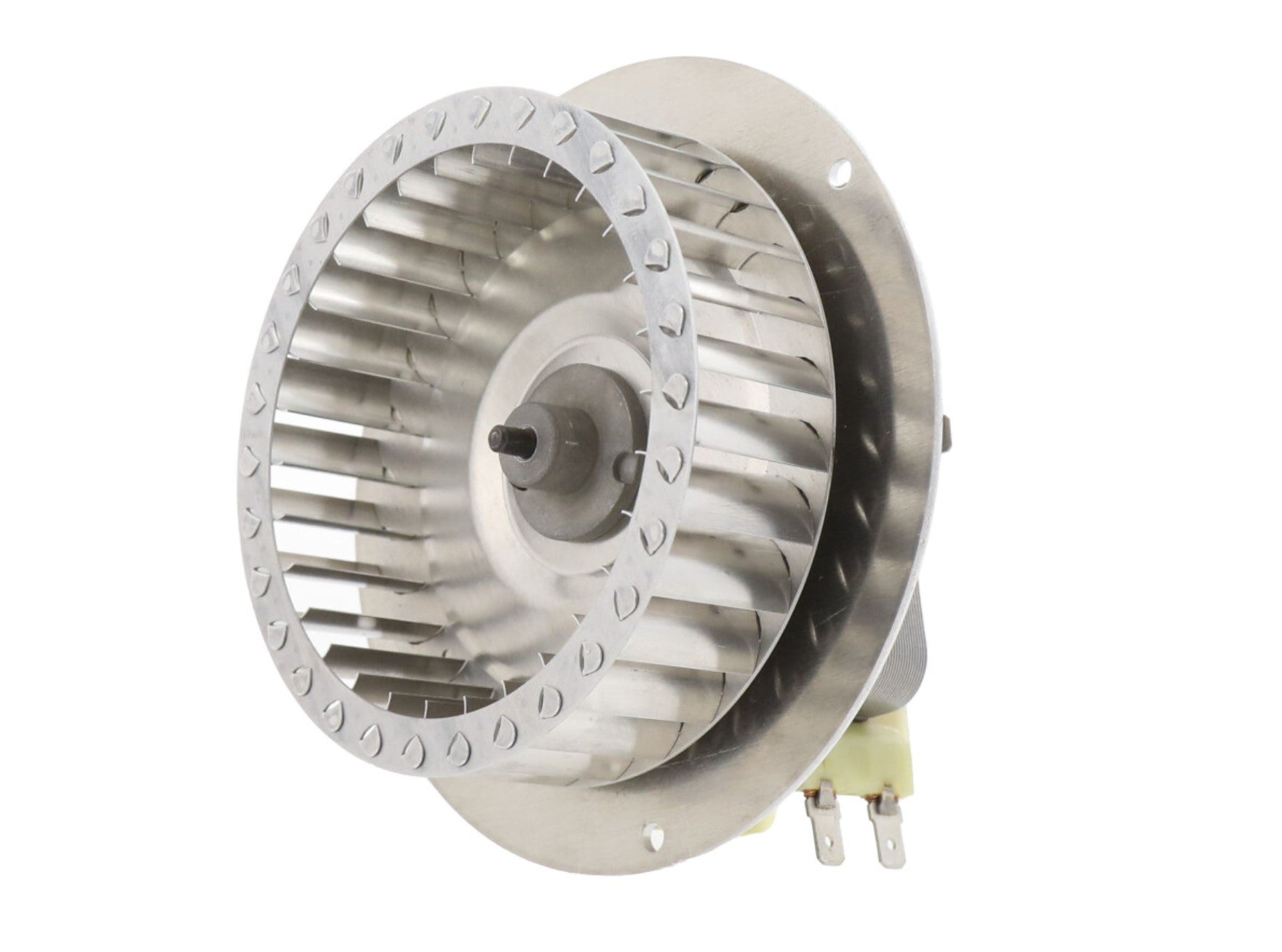 Williams Comfort Products | P332558 | 115V Single Phase AC Motor