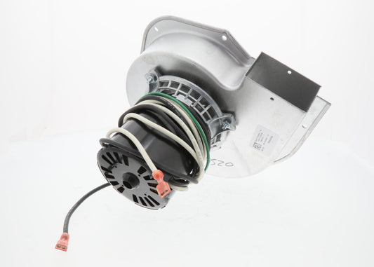 Aaon | R29520 | 230V Draft Inducer Motor